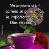 yaima_g